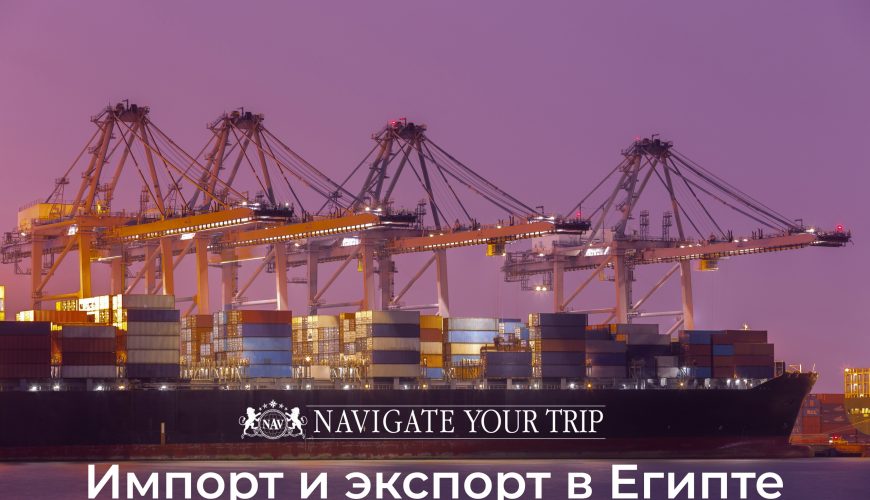 Cервис помощи релокации в Египет