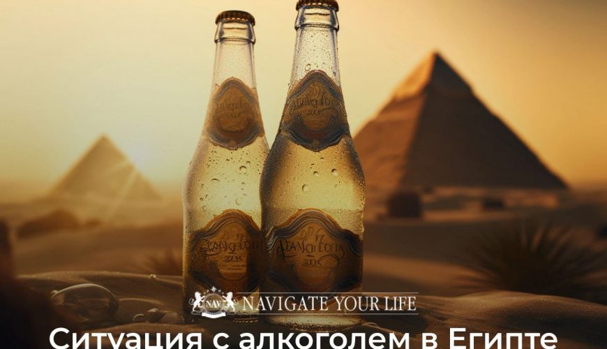 Cервис помощи релокации в Египет