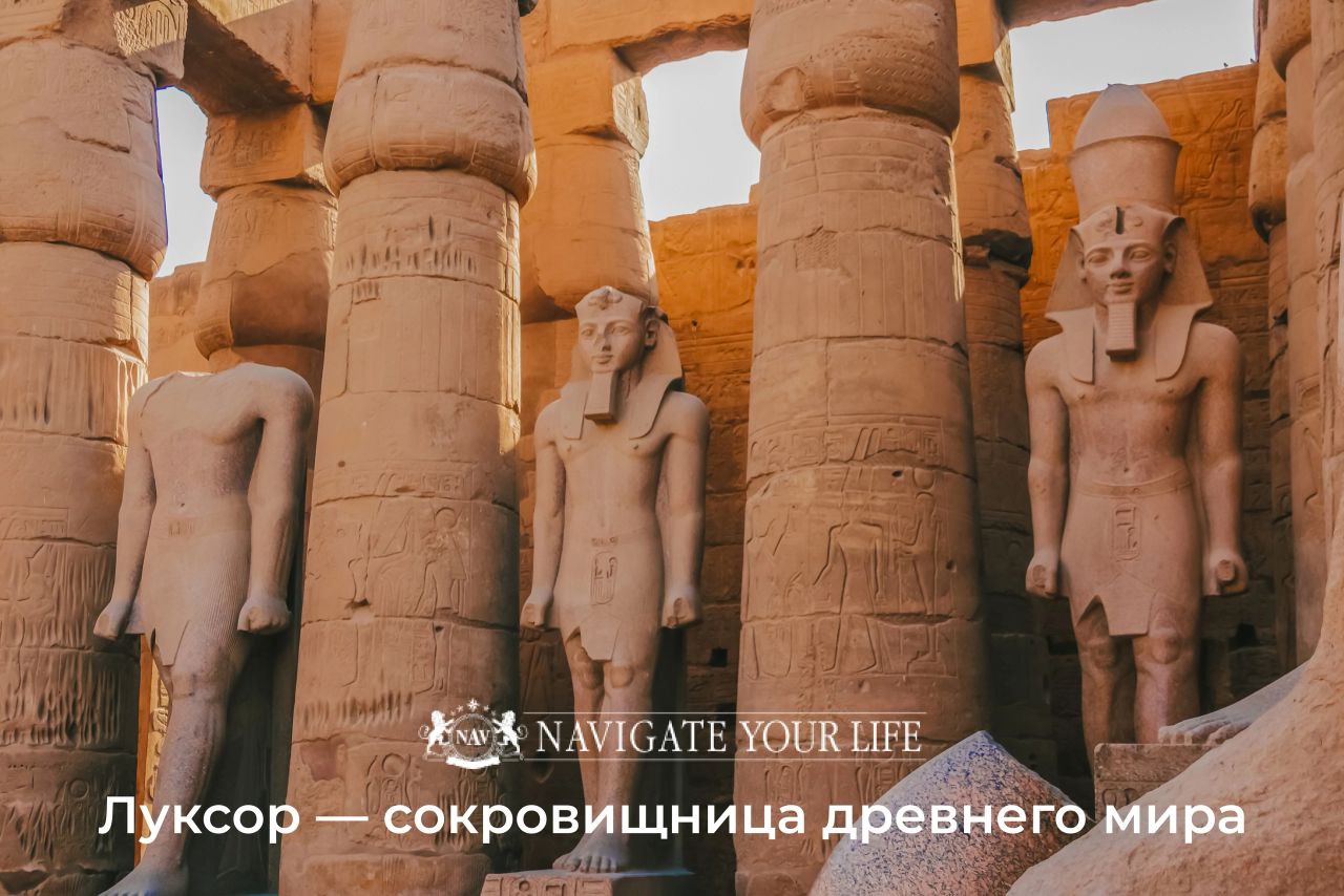 Cервис помощи релокации в Египет