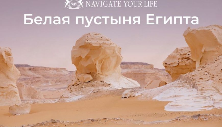 Cервис помощи релокации в Египет