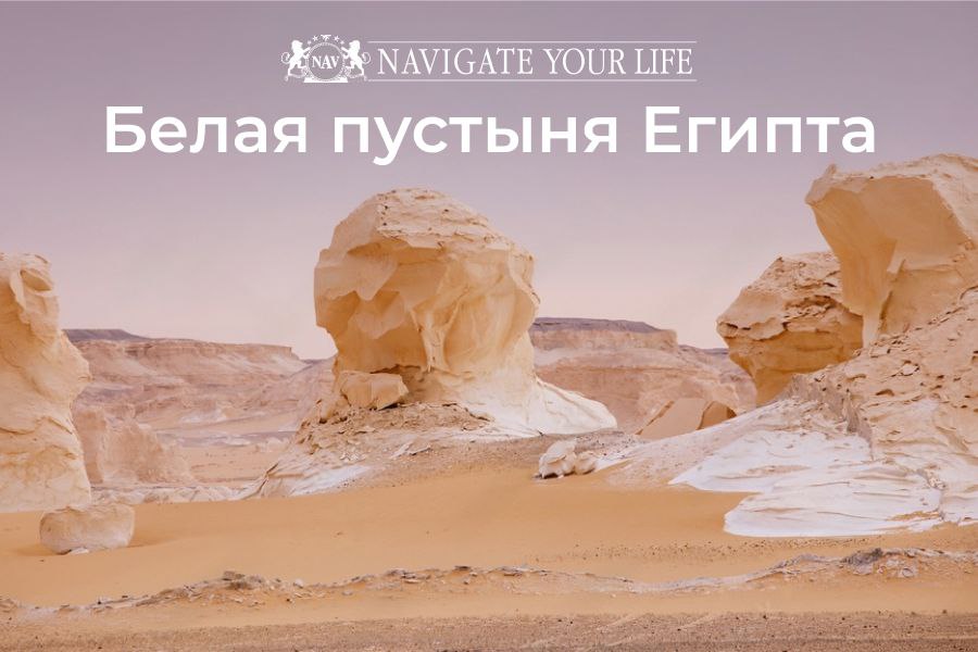 Cервис помощи релокации в Египет