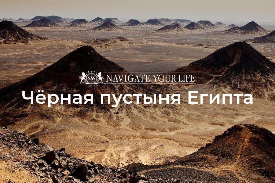 Cервис помощи релокации в Египет