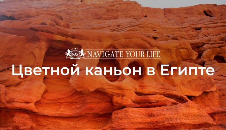 Cервис помощи релокации в Египет