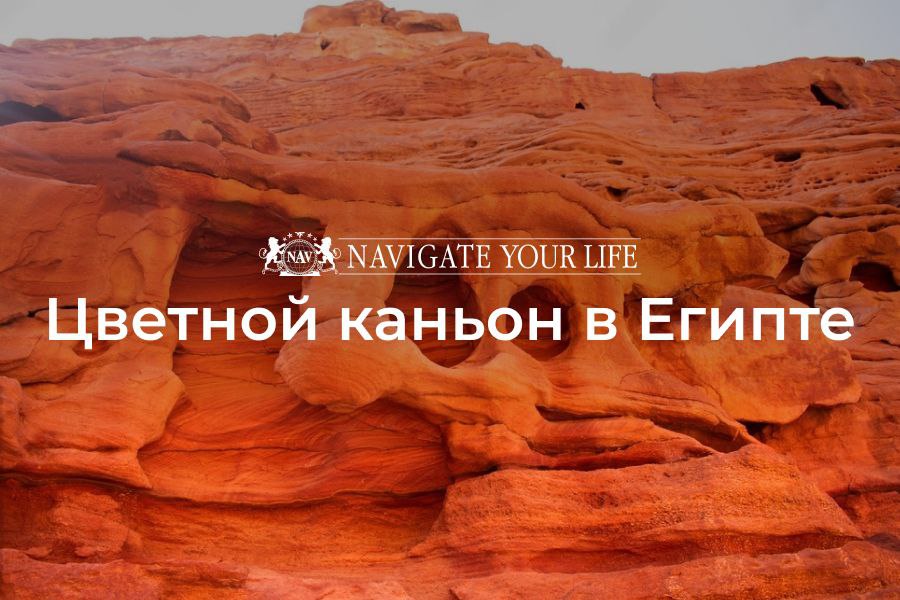 Cервис помощи релокации в Египет