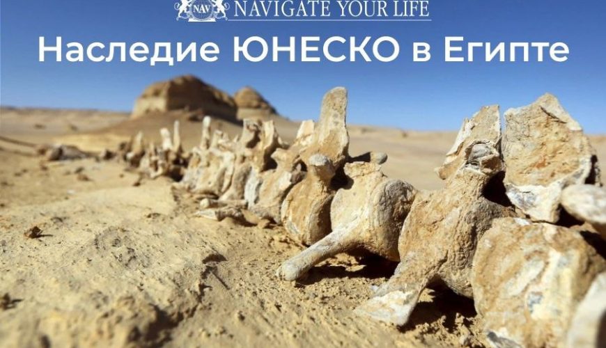 Cервис помощи релокации в Египет