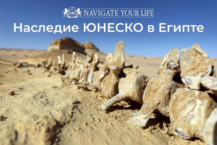 Cервис помощи релокации в Египет