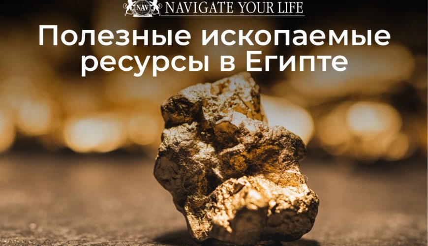 Cервис помощи релокации в Египет