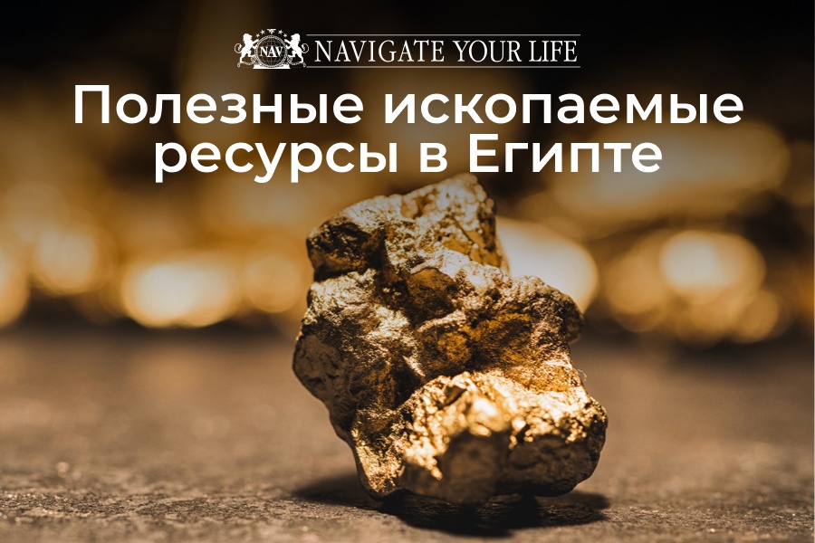 Cервис помощи релокации в Египет