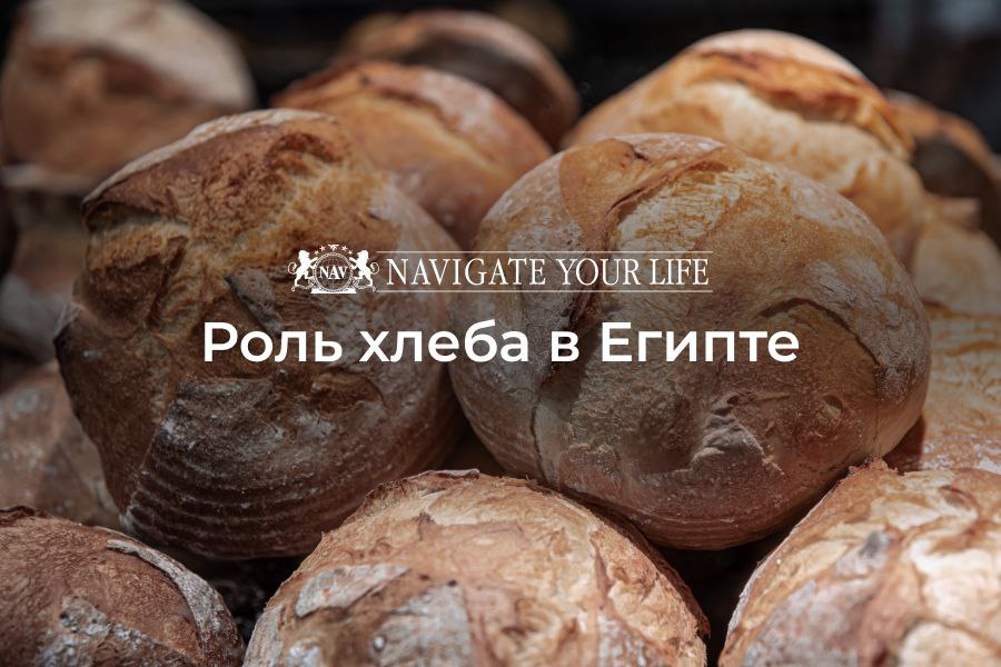Cервис помощи релокации в Египет