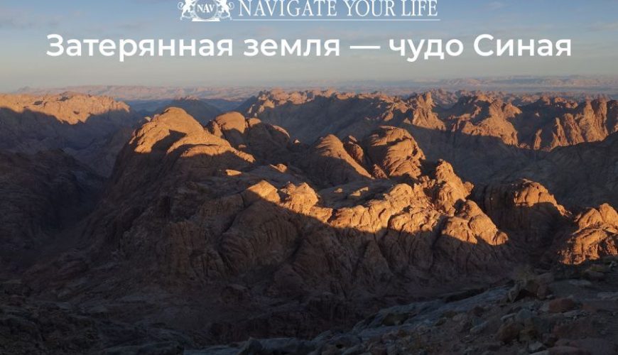 Cервис помощи релокации в Египет