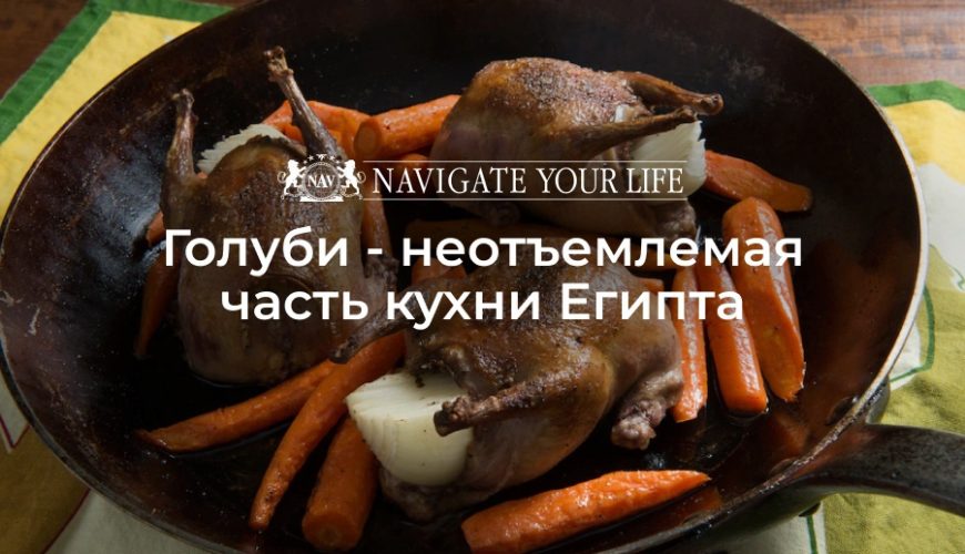 Cервис помощи релокации в Египет