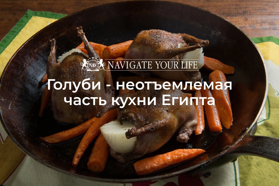 Cервис помощи релокации в Египет