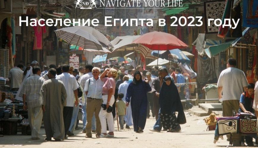 Cервис помощи релокации в Египет