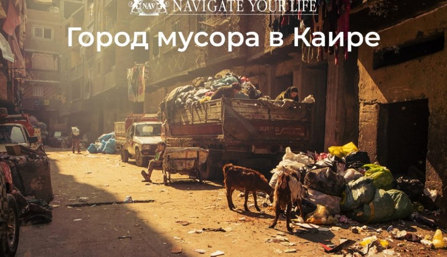 Cервис помощи релокации в Египет