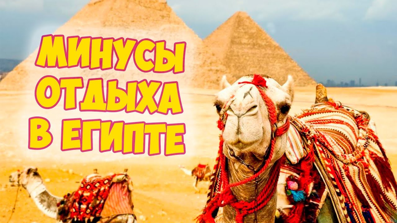 Плюсы и минусы отдыха в Египте.